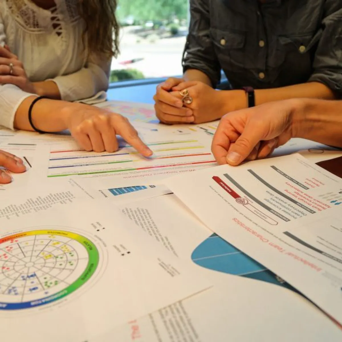 Profiling Assessments Dropdown