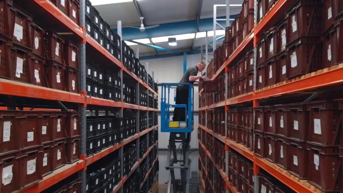 Copy of authorised distriutor